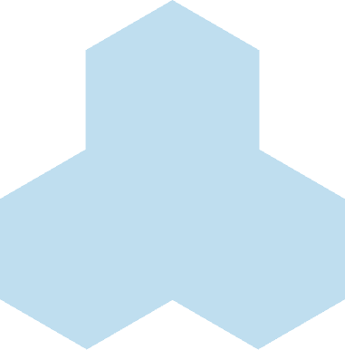process_item